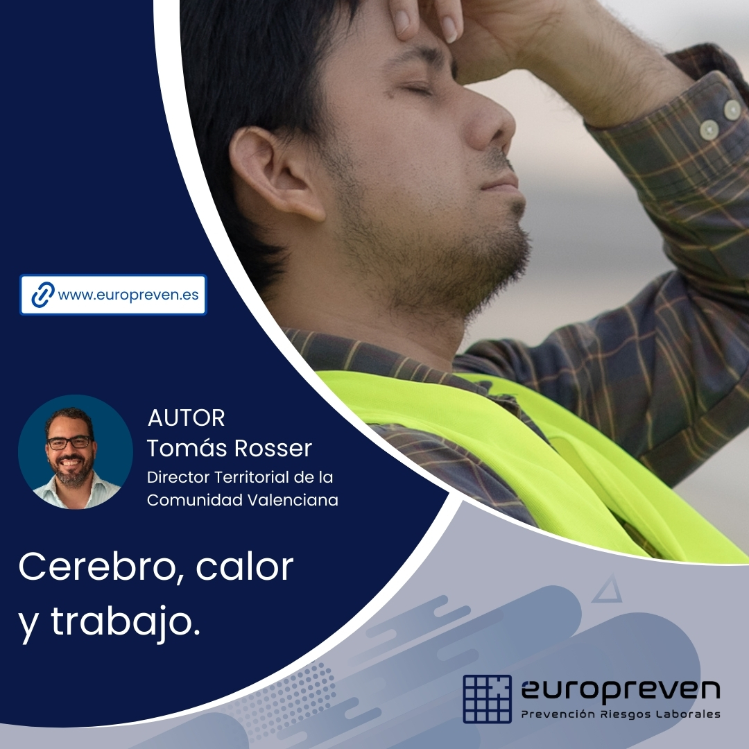 Cerebro, calor y trabajo